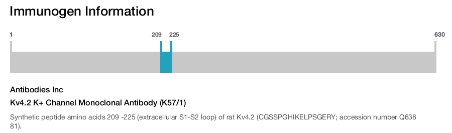 Kv4.2 K+ Channel Monoclonal Antibody (K57/1)