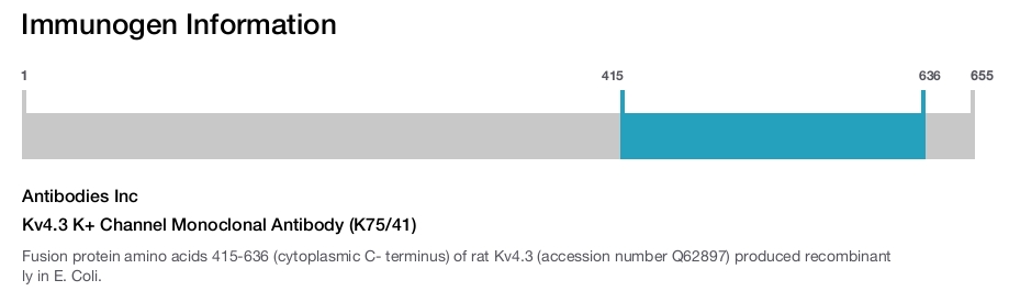 Kv4.3 K+ Channel Monoclonal Antibody (K75/41)