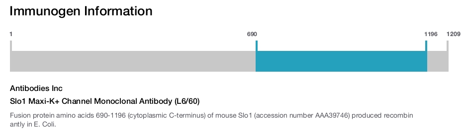 Slo1 Maxi-K+ Channel Monoclonal Antibody (L6/60)