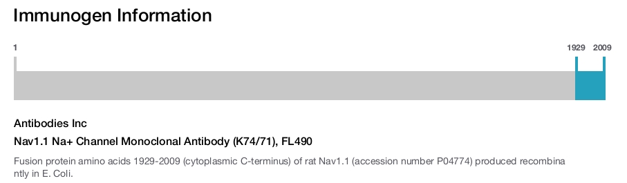 Nav1.1 Na+ Channel Monoclonal Antibody (K74/71), FL490