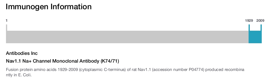 Nav1.1 Na+ Channel Monoclonal Antibody (K74/71)
