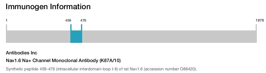 Nav1.6 Na+ Channel Monoclonal Antibody (K87A/10)