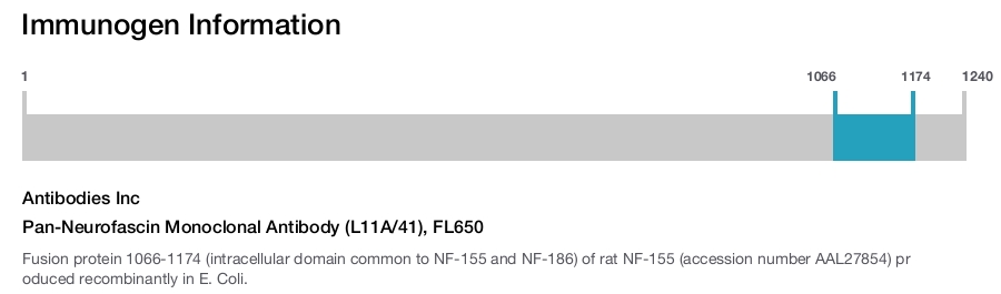 Pan-Neurofascin Monoclonal Antibody (L11A/41), FL650