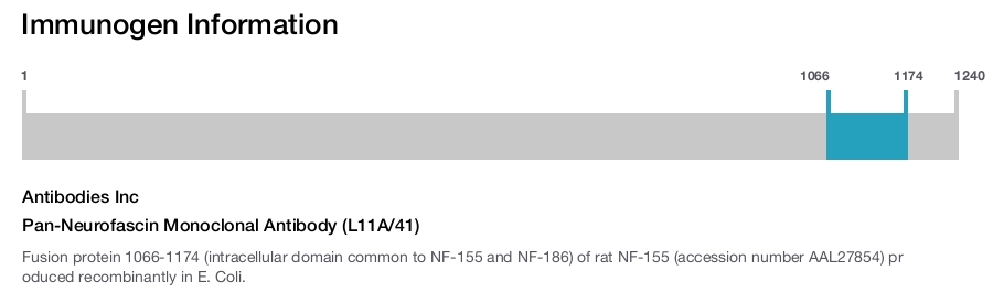 Pan-Neurofascin Monoclonal Antibody (L11A/41)