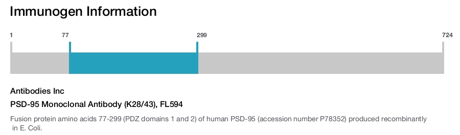 PSD-95 Monoclonal Antibody (K28/43), FL594