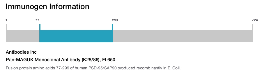 Pan-MAGUK Monoclonal Antibody (K28/86), FL650
