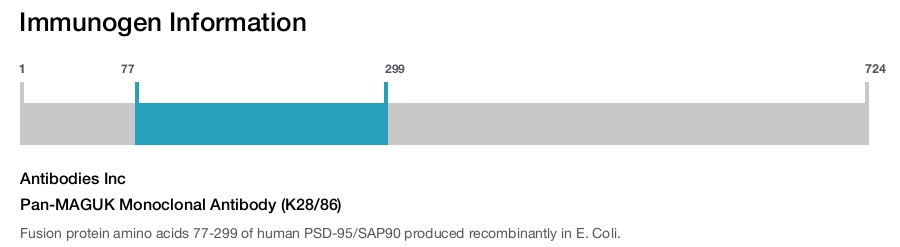 Pan-MAGUK Monoclonal Antibody (K28/86)