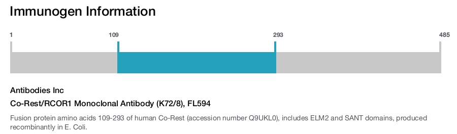 Co-Rest/RCOR1 Monoclonal Antibody (K72/8), FL594