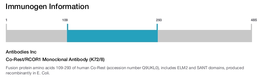 Co-Rest/RCOR1 Monoclonal Antibody (K72/8)