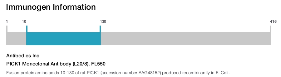 PICK1 Monoclonal Antibody (L20/8), FL550