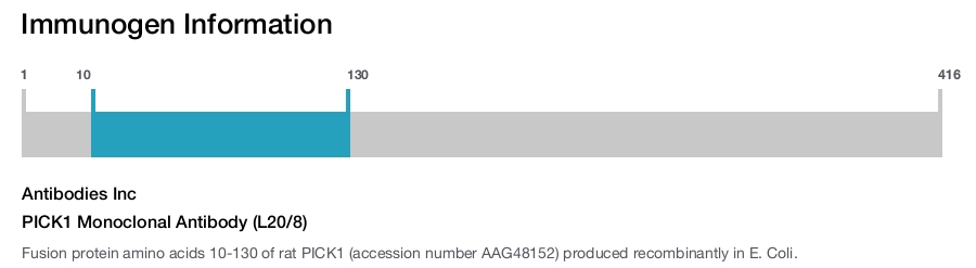 PICK1 Monoclonal Antibody (L20/8)