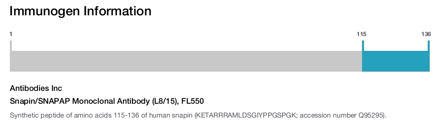Snapin/SNAPAP Monoclonal Antibody (L8/15), FL550