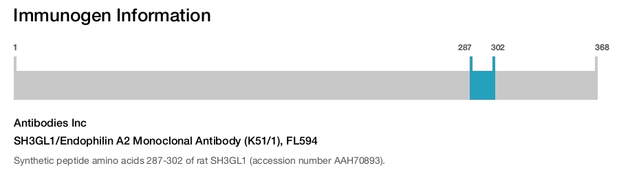 SH3GL1/Endophilin A2 Monoclonal Antibody (K51/1), FL594