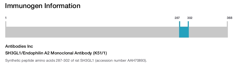 SH3GL1/Endophilin A2 Monoclonal Antibody (K51/1)