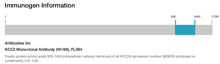 KCC2 Monoclonal Antibody (N1/66), FL594