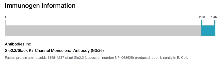 Slo2.2/Slack K+ Channel Monoclonal Antibody (N3/26)