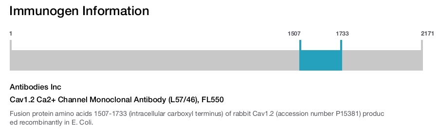 Cav1.2 Ca2+ Channel Monoclonal Antibody (L57/46), FL550