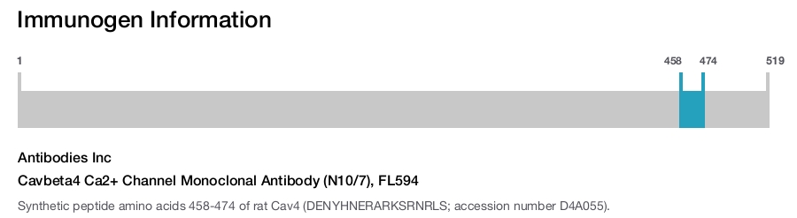 Cavbeta4 Ca2+ Channel Monoclonal Antibody (N10/7), FL594