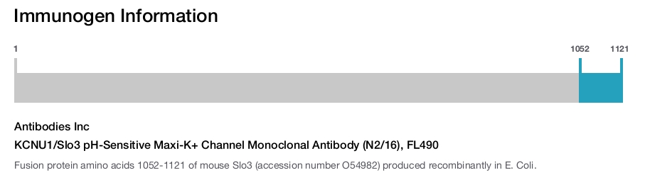 KCNU1/Slo3 pH-Sensitive Maxi-K+ Channel Monoclonal Antibody (N2/16), FL490