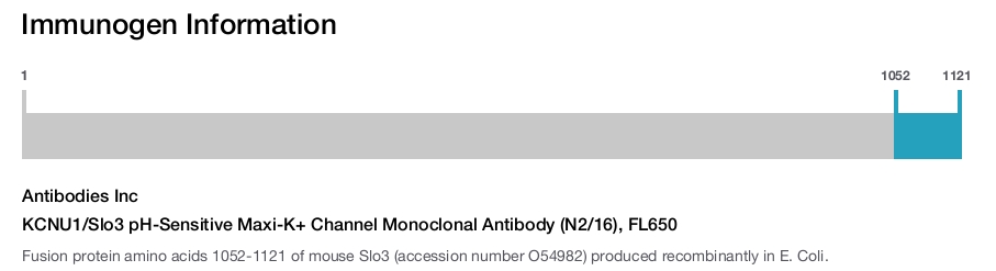 KCNU1/Slo3 pH-Sensitive Maxi-K+ Channel Monoclonal Antibody (N2/16), FL650