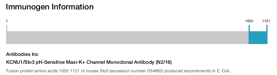 KCNU1/Slo3 pH-Sensitive Maxi-K+ Channel Monoclonal Antibody (N2/16)