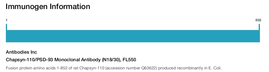 Chapsyn-110/PSD-93 Monoclonal Antibody (N18/30), FL550