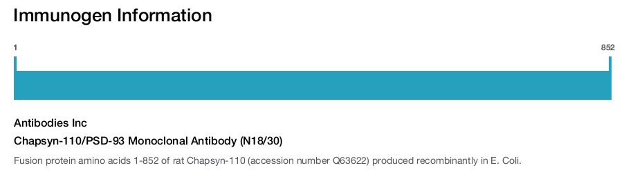 Chapsyn-110/PSD-93 Monoclonal Antibody (N18/30)