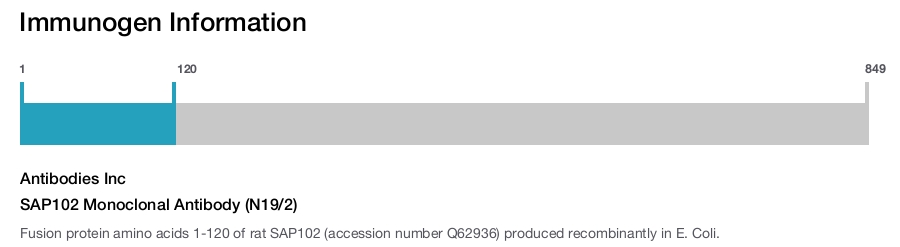 SAP102 Monoclonal Antibody (N19/2)