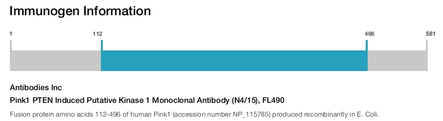 Pink1 PTEN Induced Putative Kinase 1 Monoclonal Antibody (N4/15), FL490
