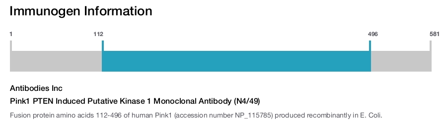 Pink1 PTEN Induced Putative Kinase 1 Monoclonal Antibody (N4/49)