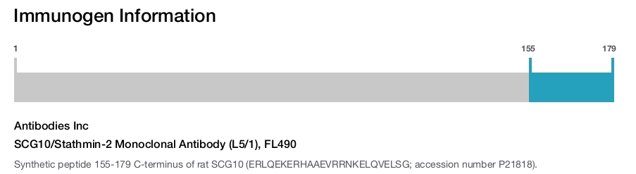 SCG10/Stathmin-2 Monoclonal Antibody (L5/1), FL490