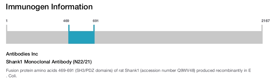 Shank1 Monoclonal Antibody (N22/21)