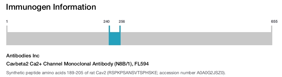Cavbeta2 Ca2+ Channel Monoclonal Antibody (N8B/1), FL594