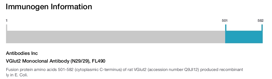 VGlut2 Monoclonal Antibody (N29/29), FL490