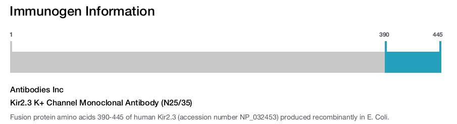 Kir2.3 K+ Channel Monoclonal Antibody (N25/35)