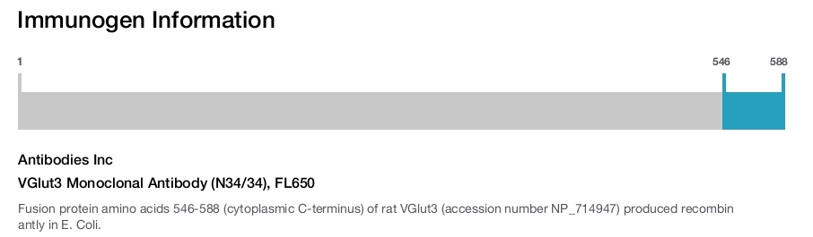 VGlut3 Monoclonal Antibody (N34/34), FL650