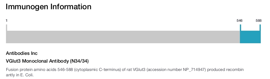 VGlut3 Monoclonal Antibody (N34/34)