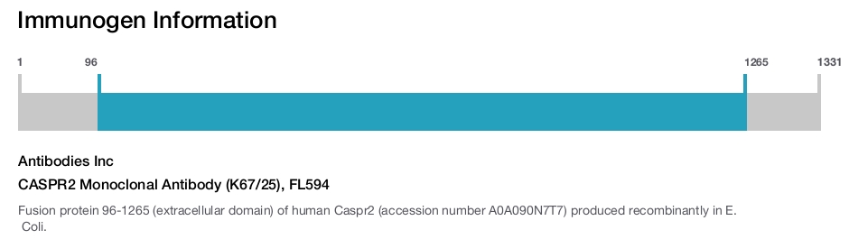 CASPR2 Monoclonal Antibody (K67/25), FL594
