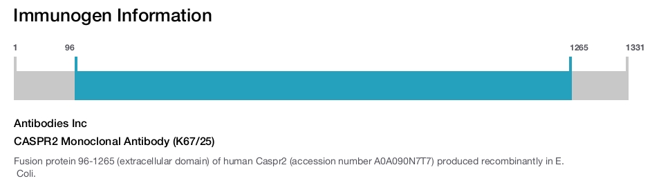 CASPR2 Monoclonal Antibody (K67/25)
