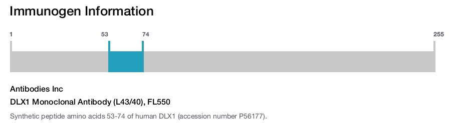 DLX1 Monoclonal Antibody (L43/40), FL550