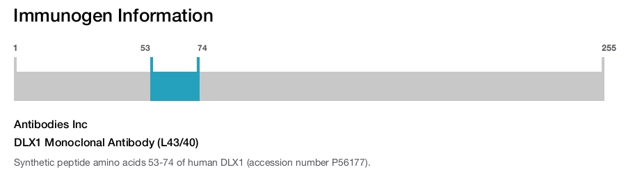 DLX1 Monoclonal Antibody (L43/40)