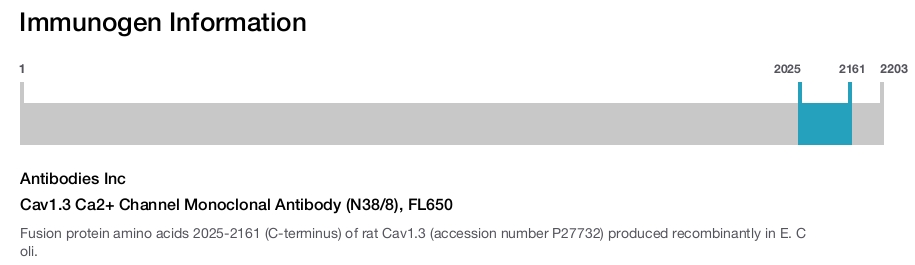 Cav1.3 Ca2+ Channel Monoclonal Antibody (N38/8), FL650
