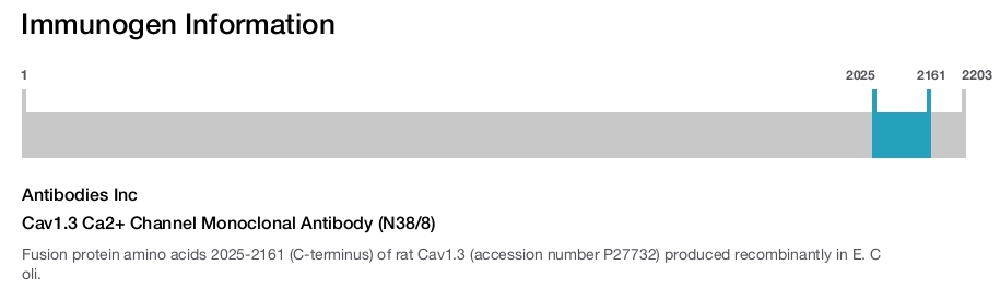 Cav1.3 Ca2+ Channel Monoclonal Antibody (N38/8)