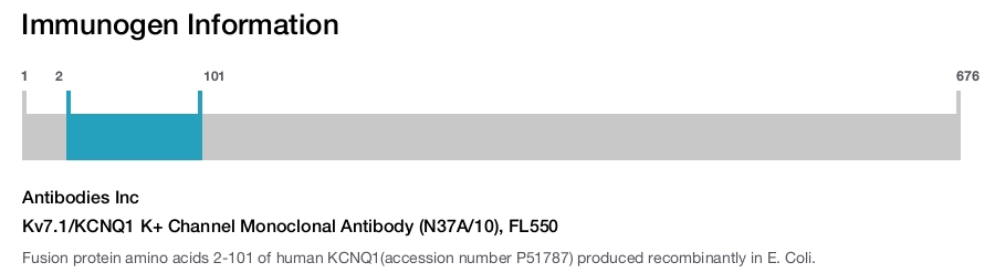 Kv7.1/KCNQ1 K+ Channel Monoclonal Antibody (N37A/10), FL550