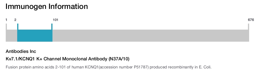 Kv7.1/KCNQ1 K+ Channel Monoclonal Antibody (N37A/10)