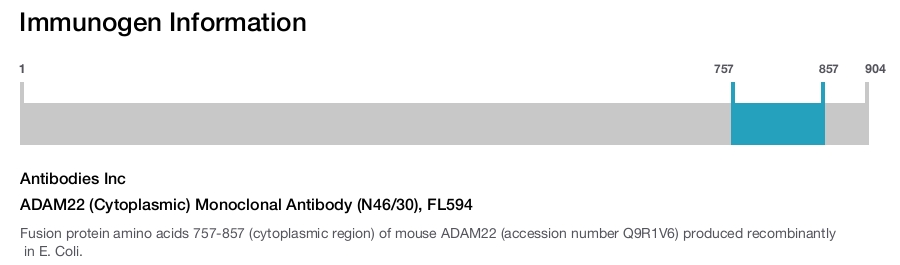 ADAM22 (Cytoplasmic) Monoclonal Antibody (N46/30), FL594
