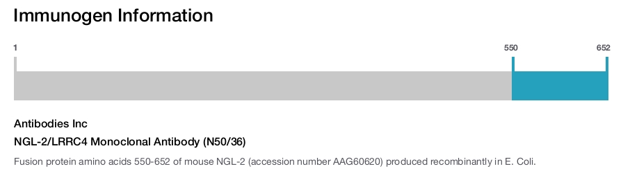 NGL-2/LRRC4 Monoclonal Antibody (N50/36)