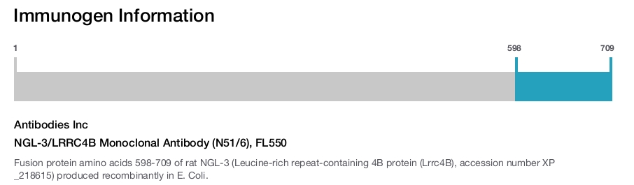 NGL-3/LRRC4B Monoclonal Antibody (N51/6), FL550