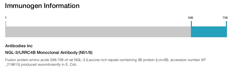 NGL-3/LRRC4B Monoclonal Antibody (N51/6)