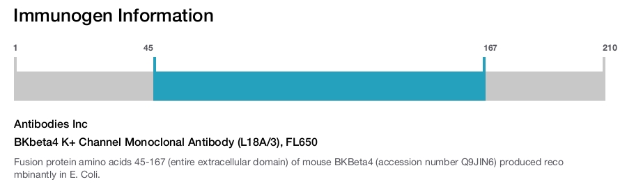 BKbeta4 K+ Channel Monoclonal Antibody (L18A/3), FL650